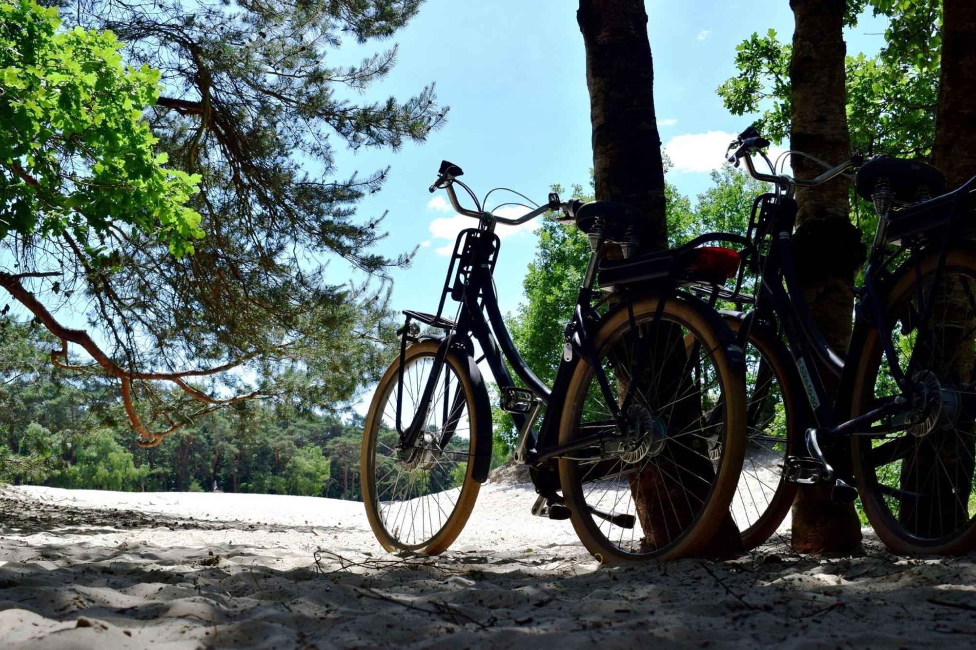 Doubletree By Hilton Royal Parc Soestduinen Hotel 4*